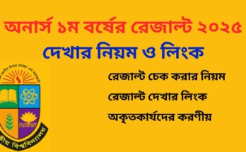 অনার্স ১ম বর্ষের রেজাল্ট ২০২৫ দেখার নিয়ম ও লিংক
