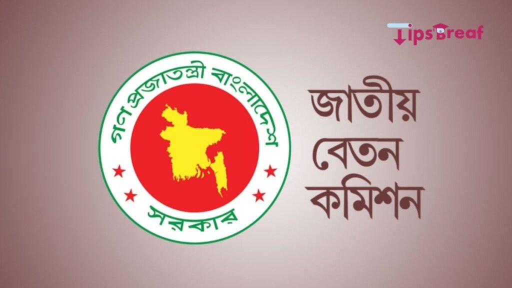 পে স্কেল ঘোষণা ও গেজেট প্রকাশে সরকারি কর্মচারীদের ৫ যুক্তি