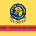 ব্রাহ্মণবাড়িয়া পাবলিক কলেজ নিয়োগ বিজ্ঞপ্তি, পদের নাম, শিক্ষাগত যোগ্যতা ও অভিজ্ঞতা